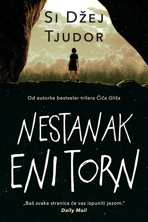 Korica knjige Nestanak Eni Torn
