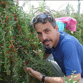 Kristofer S. Kilhem Pet Tibetanaca