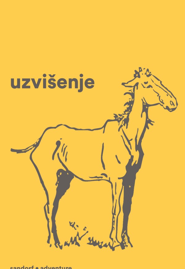 Korica knjige Uzvišenje