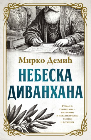 Korica knjige Nebeska divanhana