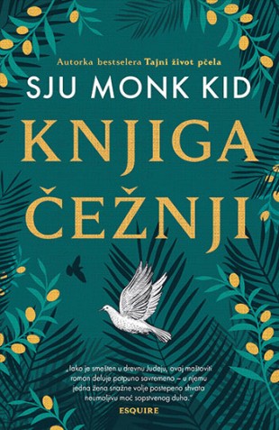 Korica knjige Knjiga čežnji